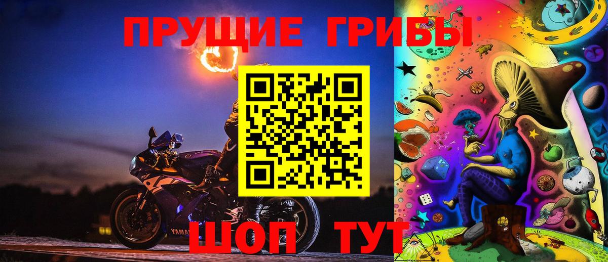 Новороссийск  Галлюциногенные грибы ЛСД  Галлюциногенные грибы ЛСД  Вход с VPN 